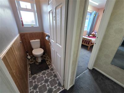 Picture 12